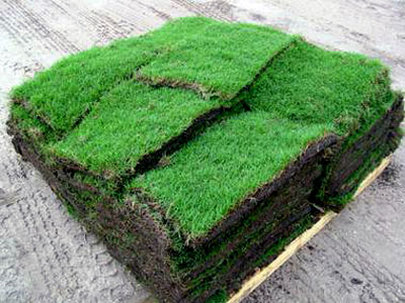 new pallet of grass freshly cut